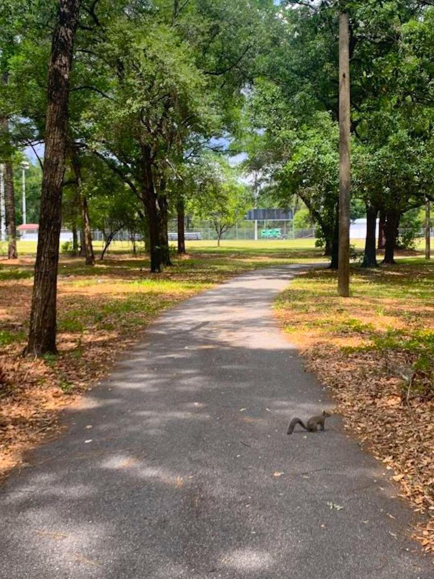 Private Home In Ocala With Fenced Yard, Piano, Central Location, Pets Welcome エクステリア 写真